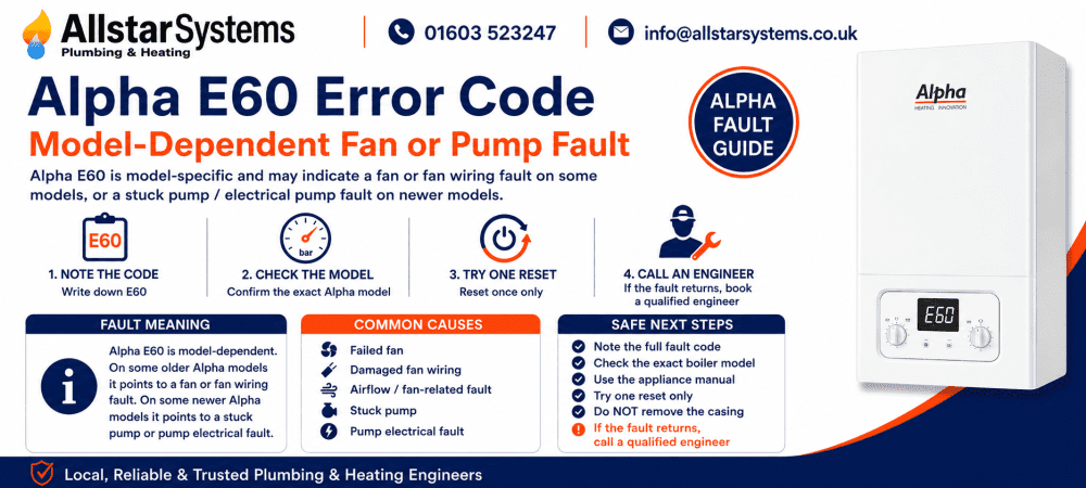 Alpha E60 error code guide explaining a model-dependent fan or pump fault, safe checks and engineer advice from Allstar Systems Plumbing & Heating.